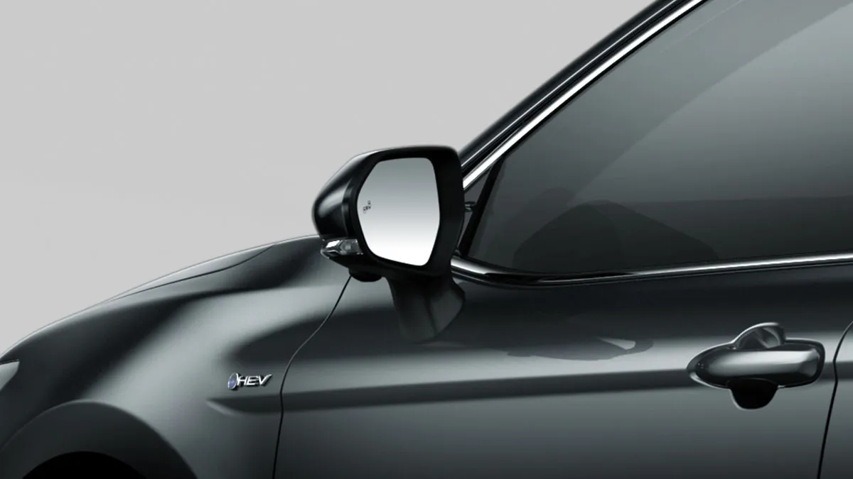 Blind Spot Monitor (BSM)