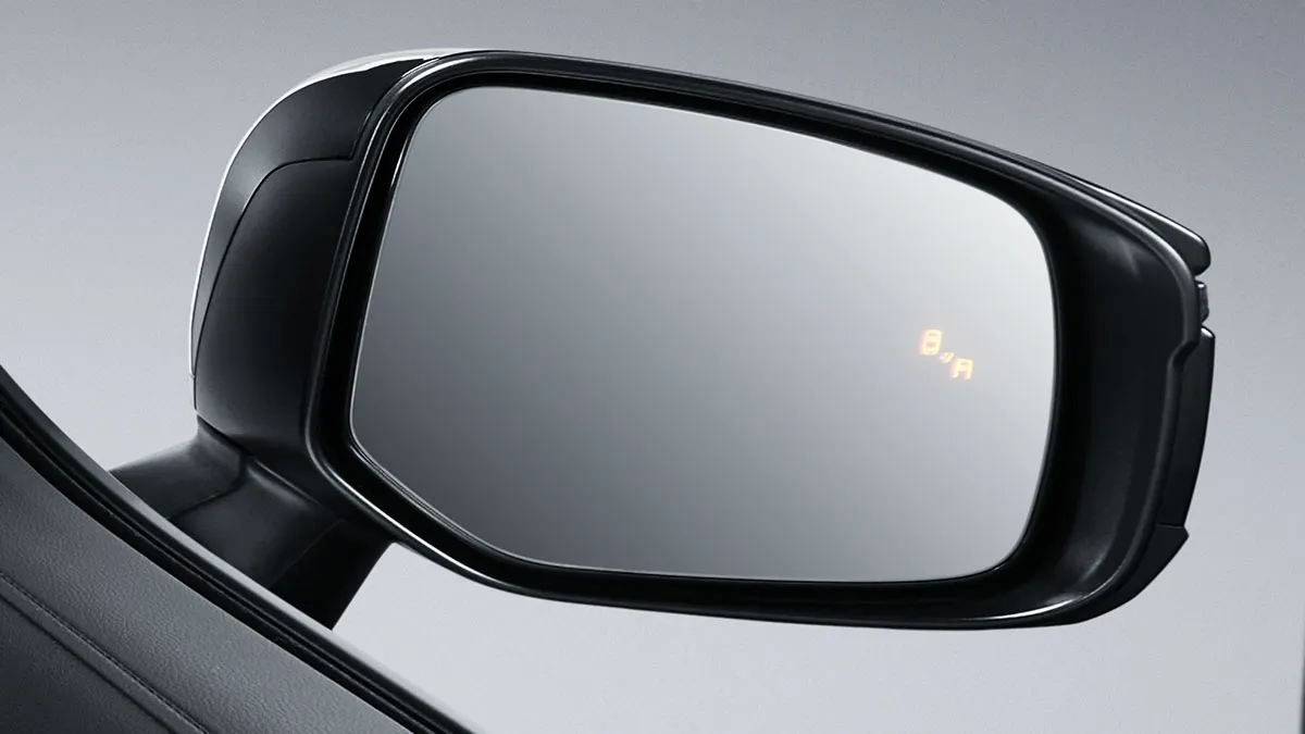 Blind Spot Monitor