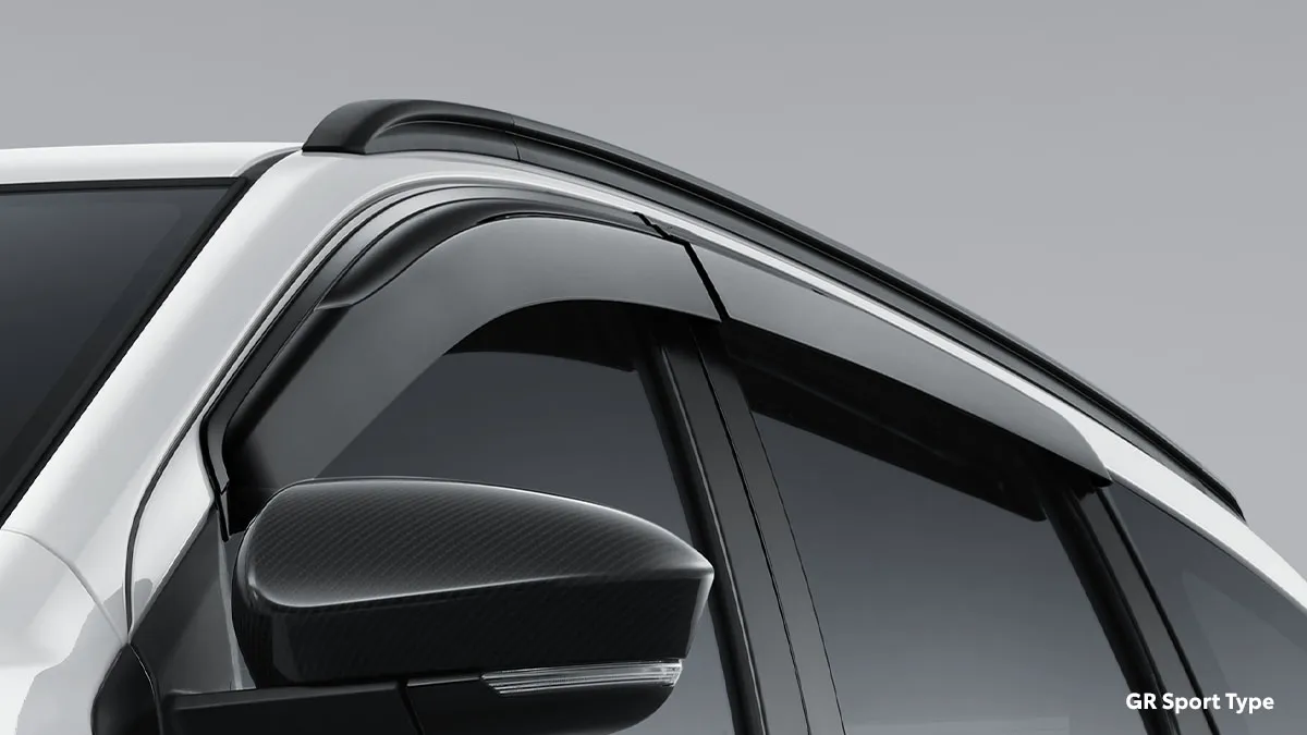 Side Visor